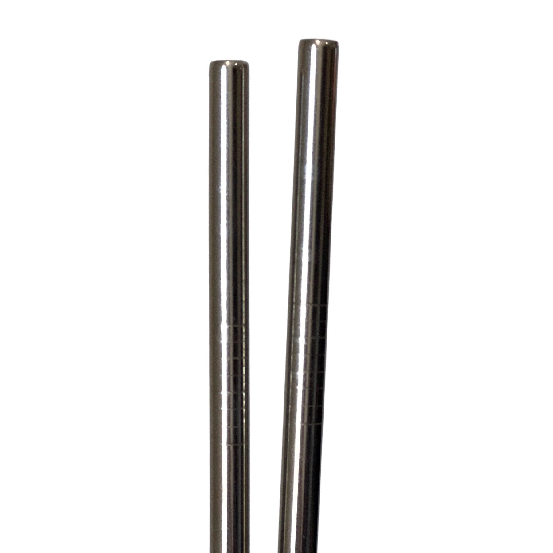 Free Stainless Steel Straws - 2 Pack - Biddlebee